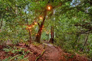 2081 Joy Rd, Occidental, CA 95465 - Photo 50