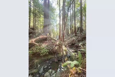 2081 Joy Road, Occidental, CA 95465 - Photo 48