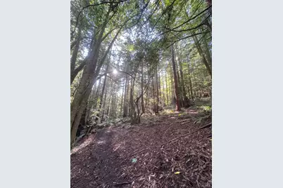 2081 Joy Road, Occidental, CA 95465 - Photo 46