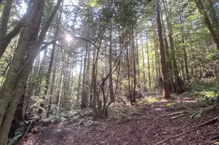 2081 Joy Rd, Occidental, CA 95465 - Photo 46