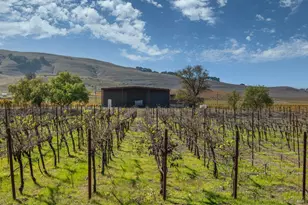 22033 Bonness Rd, Sonoma, CA 95476 - Photo 68