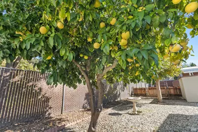 1597 Alamo Drive #128, Vacaville, CA 95687 - Photo 22