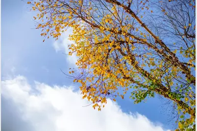 810 Wine Court, Petaluma, CA 94954 - Photo 66