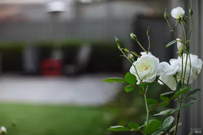 810 Wine Court, Petaluma, CA 94954 - Photo 60