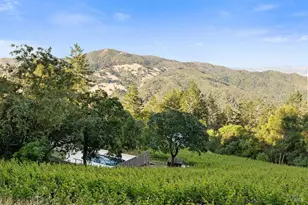 351 Wall Rd, Napa, CA 94558 - Photo 74