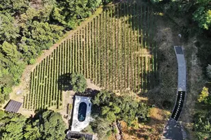 351 Wall Rd, Napa, CA 94558 - Photo 76