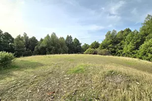 36955 Eureka Stagecoach Rd, Willits, CA 95490 - Photo 42