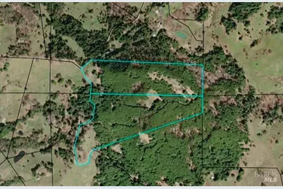 36955 Eureka Stagecoach Road, Willits, CA 95490 - Photo 44