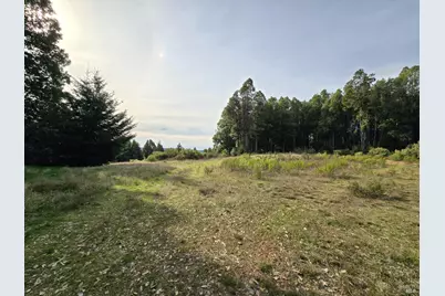 36955 Eureka Stagecoach Road, Willits, CA 95490 - Photo 36