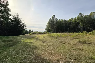 36955 Eureka Stagecoach Rd, Willits, CA 95490 - Photo 36