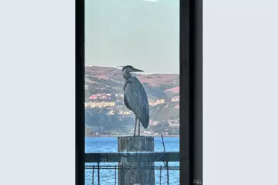 68 Issaquah Dock, Sausalito, CA 94965 - Photo 14