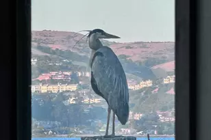 68 Issaquah Dock, Sausalito, CA 94965 - Photo 14