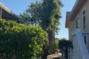 69 Guadajara St, Sonoma, CA 95476 - Photo 20