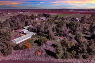 7707 Serpa Ln, Dixon, CA 95620 - Photo 80