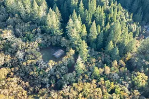 3100 Mill Creek Rd, Healdsburg, CA 95448 - Photo 30