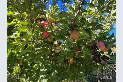 11255 Rancheria Road, Upper Lake, CA 95485 - Photo 36