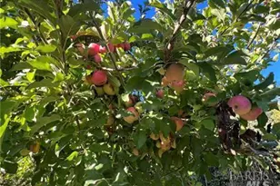 11255 Rancheria Rd, Upper Lake, CA 95485 - Photo 36