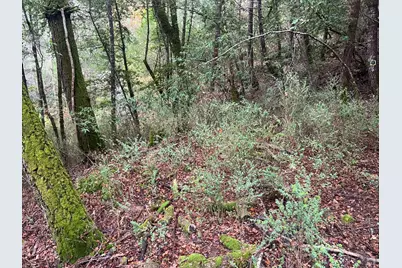 6075 Austin Creek Road, Cazadero, CA 95421 - Photo 6