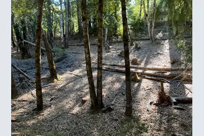 27208 Bear Circle, Willits, CA 95490 - Photo 2