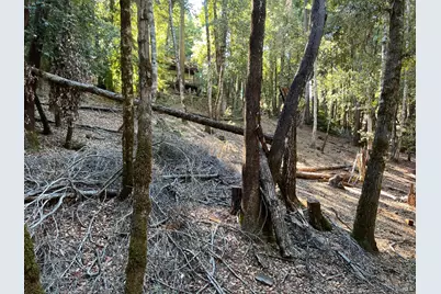 27208 Bear Circle, Willits, CA 95490 - Photo 6