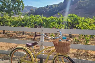 5 Forrester Ln, Yountville, CA 94599 - Photo 52