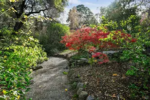 5 Maoli Dr, San Rafael, CA 94903 - Photo 68