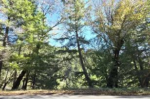 2713 Primrose Dr, Willits, CA 95490 - Photo 1