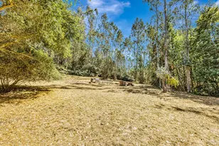 3590 Burnside Rd, Sebastopol, CA 95472 - Photo 54