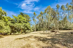 3590 Burnside Rd, Sebastopol, CA 95472 - Photo 56