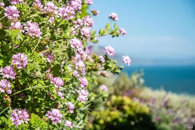 71 Crescente Avenue, Bolinas, CA 94924 - Photo 50