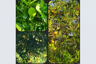 3778 Burke Place, Sonoma, CA 95476 - Photo 82