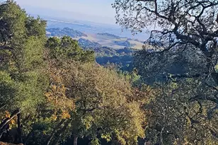 3778 Burke Pl, Sonoma, CA 95476 - Photo 80