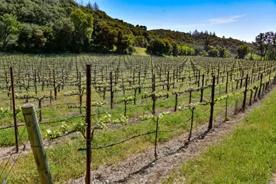 3 Zinfandel Lane, Saint Helena, CA 94574 - Photo 12