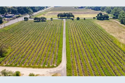 3 Zinfandel Lane, Saint Helena, CA 94574 - Photo 6