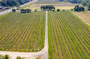 3 Zinfandel Ln, Saint Helena, CA 94574 - Photo 6