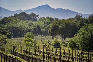 3 Zinfandel Ln, Saint Helena, CA 94574 - Photo 14