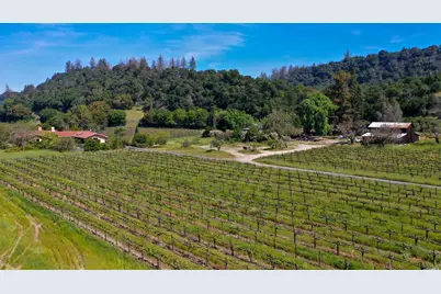 3 Zinfandel Lane, Saint Helena, CA 94574 - Photo 2