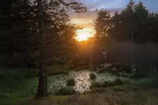 36029 Timber Ridge Rd, The Sea Ranch, CA 95497 - Photo 58