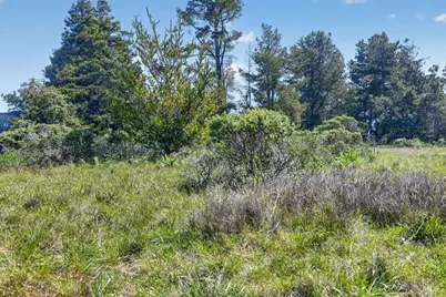 35604 Timber Ridge Road, The Sea Ranch, CA 95497 - Photo 12