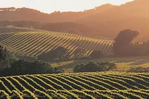 530 Jade St, Petaluma, CA 94952 - Photo 62