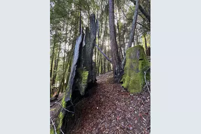 27089 Otter Court, Willits, CA 95490 - Photo 4