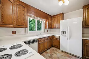 6 Madrona St, San Rafael, CA 94901 - Photo 16