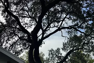 4300 Cereda Ln, Fairfield, CA 94534 - Photo 4