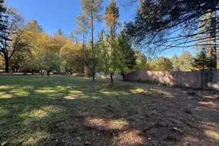 770 Branscomb Rd, Laytonville, CA 95454 - Photo 6