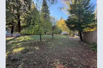 770 Branscomb Road, Laytonville, CA 95454 - Photo 4