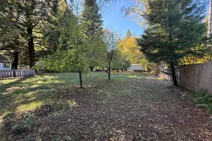 770 Branscomb Rd, Laytonville, CA 95454 - Photo 4