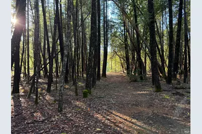 770 Branscomb Road, Laytonville, CA 95454 - Photo 34