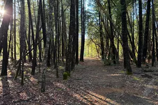 770 Branscomb Rd, Laytonville, CA 95454 - Photo 34