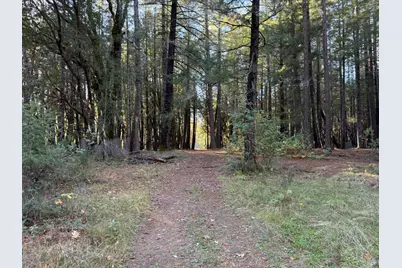 770 Branscomb Road, Laytonville, CA 95454 - Photo 36