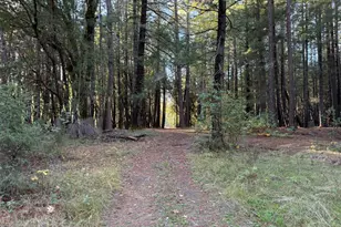 770 Branscomb Rd, Laytonville, CA 95454 - Photo 36